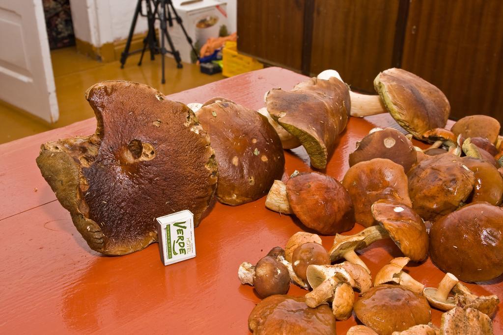 Agroturystyka Sominy Piotr 外观 照片