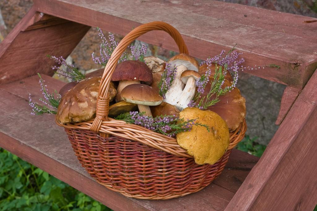 Agroturystyka Sominy Piotr 外观 照片
