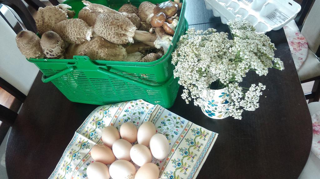Agroturystyka Sominy Piotr 外观 照片